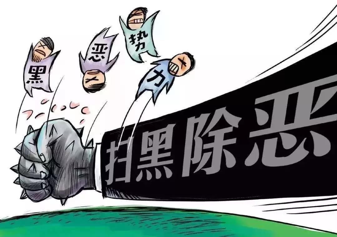 扫黑除恶 | 攥成一个拳头 合力扫黑除恶!一线扫黑干警细述案件背后的故事